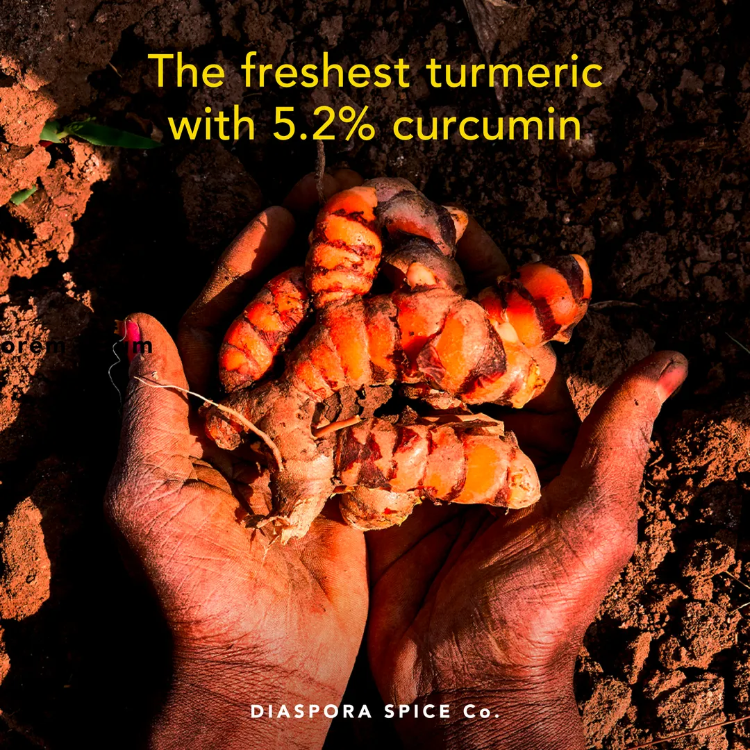 Pragati Turmeric (Powder) - Single-Origin Spice (45g Everyday Tin)