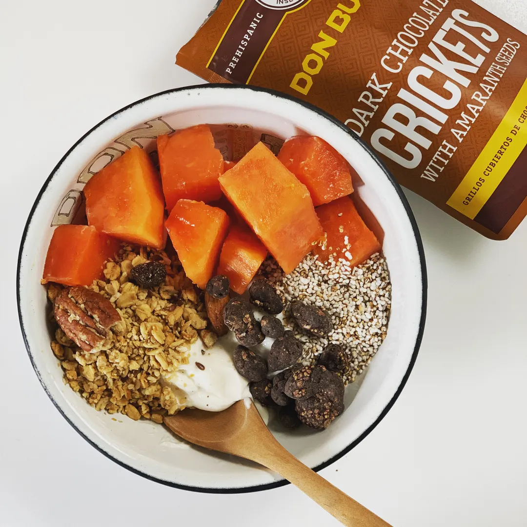 Chocolate Covered Crickets  - High Protein Snacks 