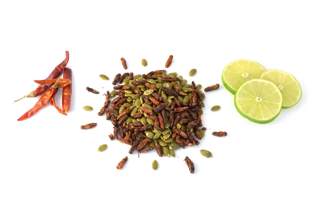 Chile-Lime Crickets with Pumpkin Seeds  - High Protein Snack 