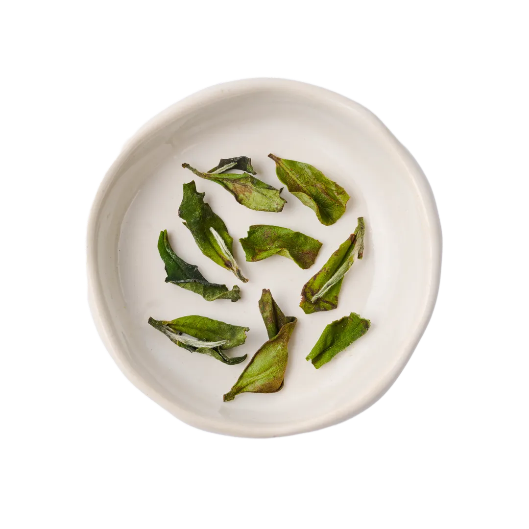Bulk Loose Leaf Green Tea variant