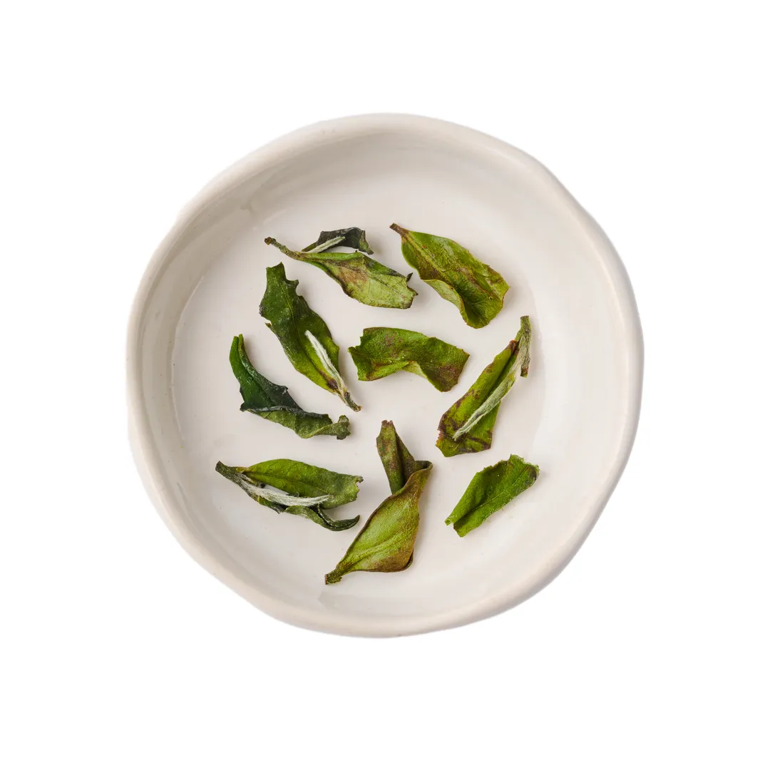 Retail Loose Leaf Green Tea (Case of 8) variant