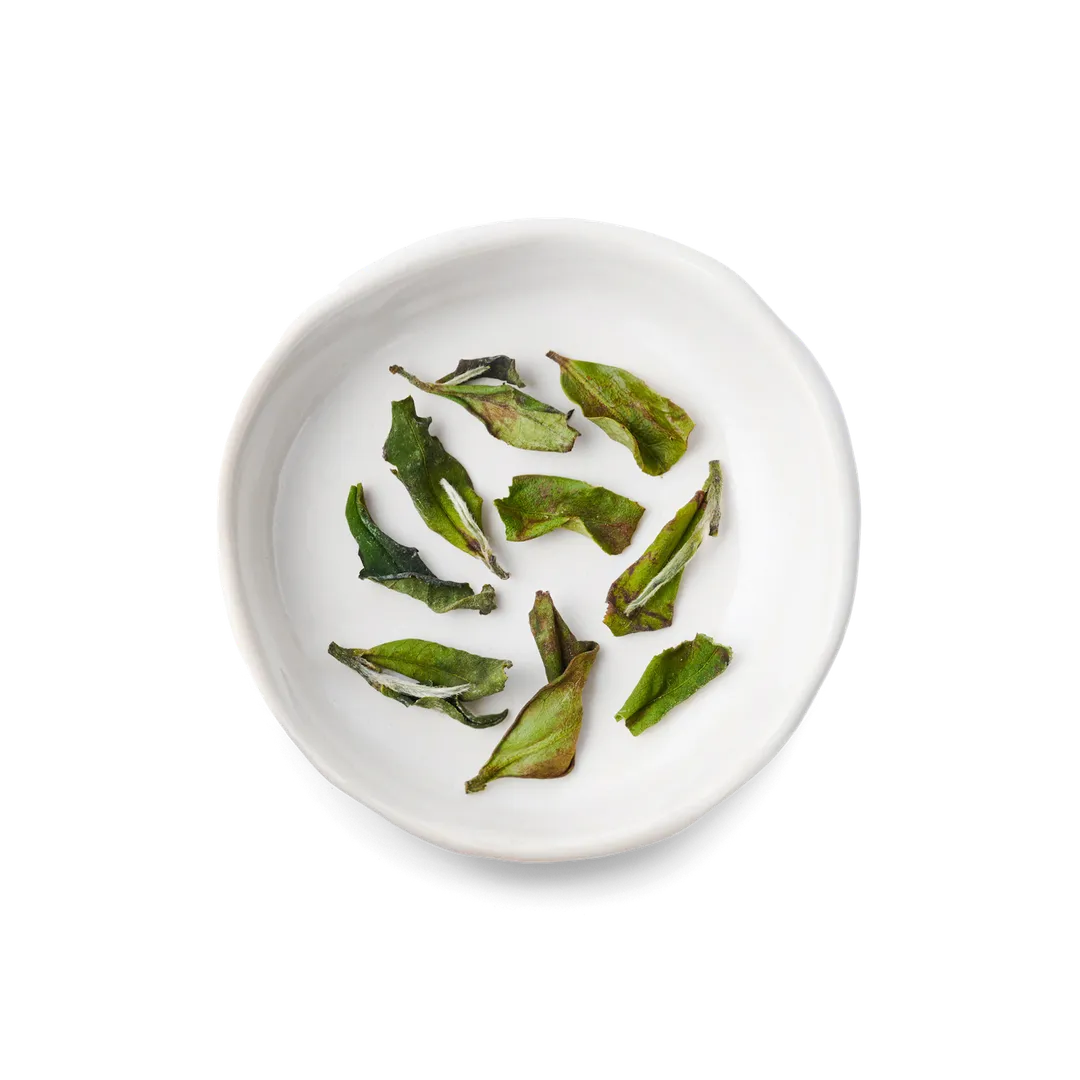 Retail Loose Leaf Green Tea (Case of 8)