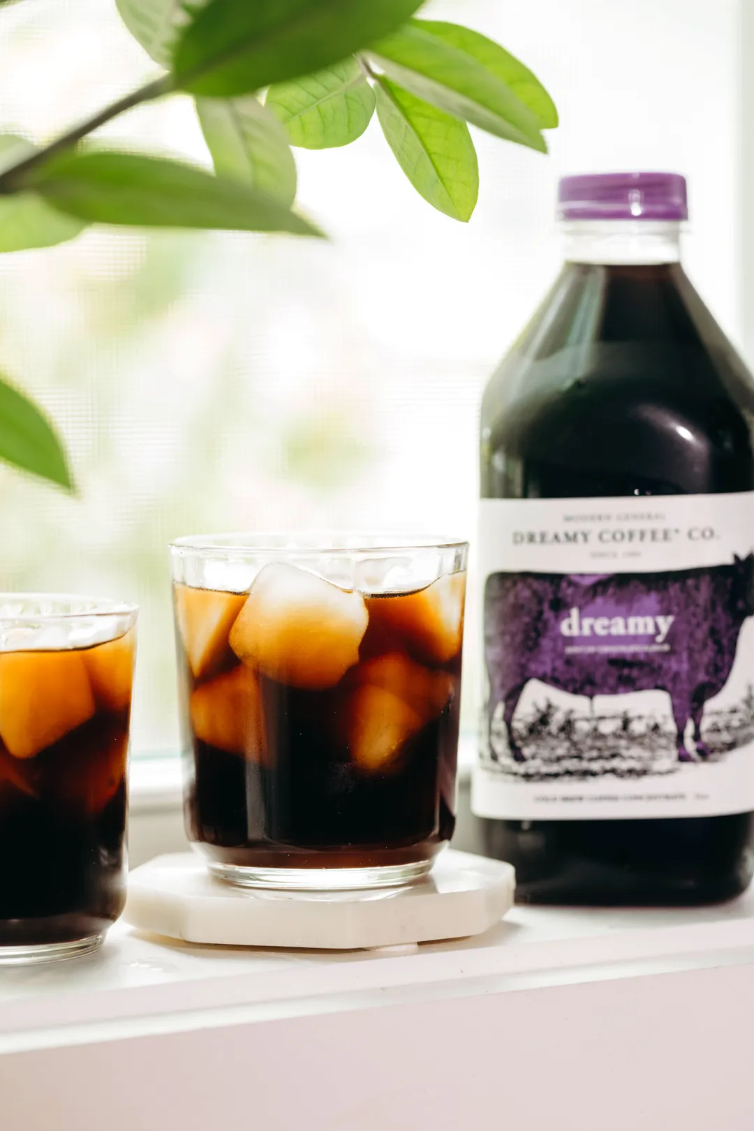 WS: Dreamy Concentrate 32oz., Case of 6