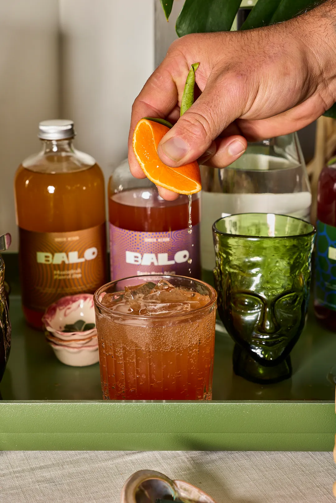 Shrub mixer Mixed flavors  (12 bottles 18.8oz each)