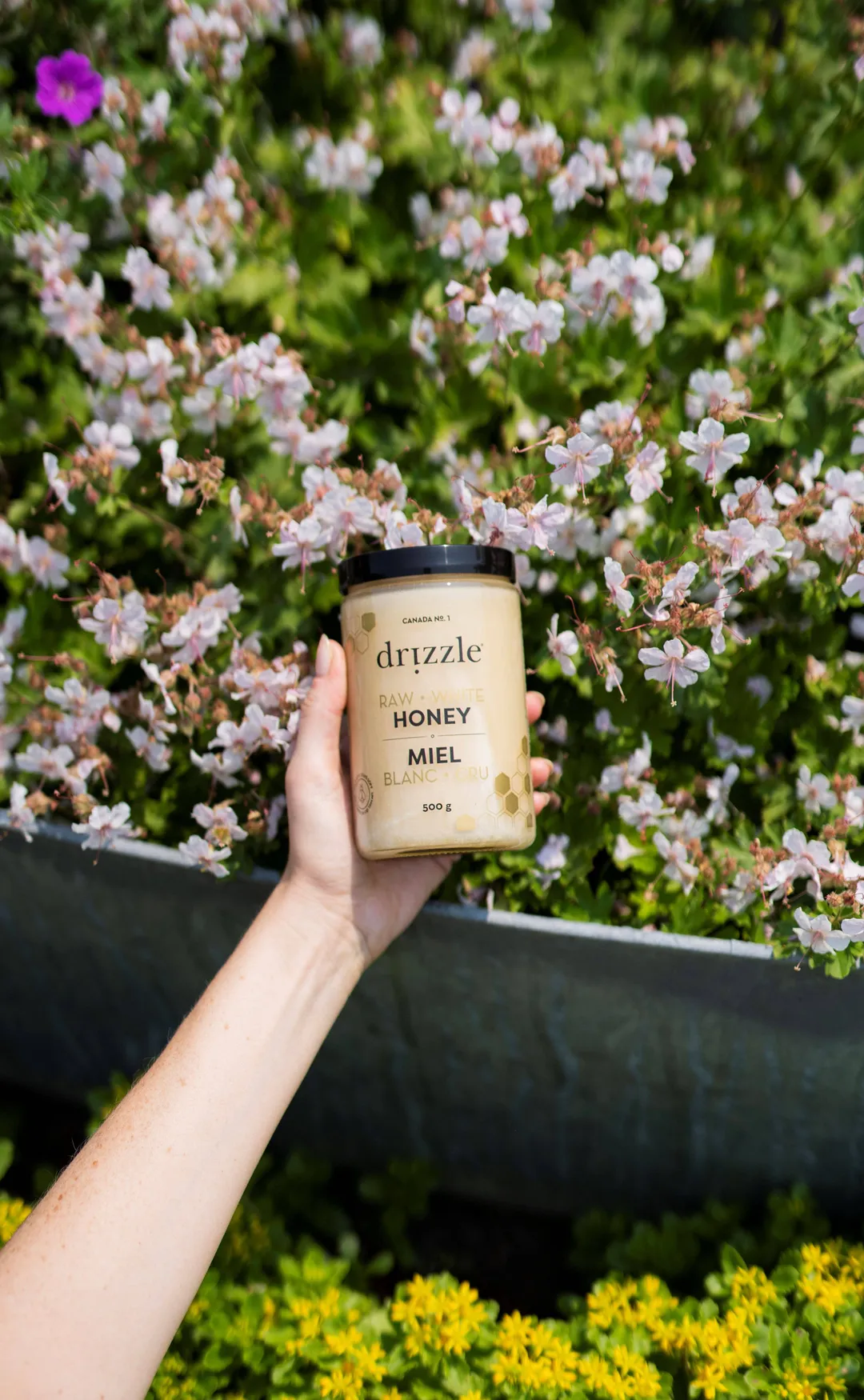 White Raw Honey – 17.6 oz