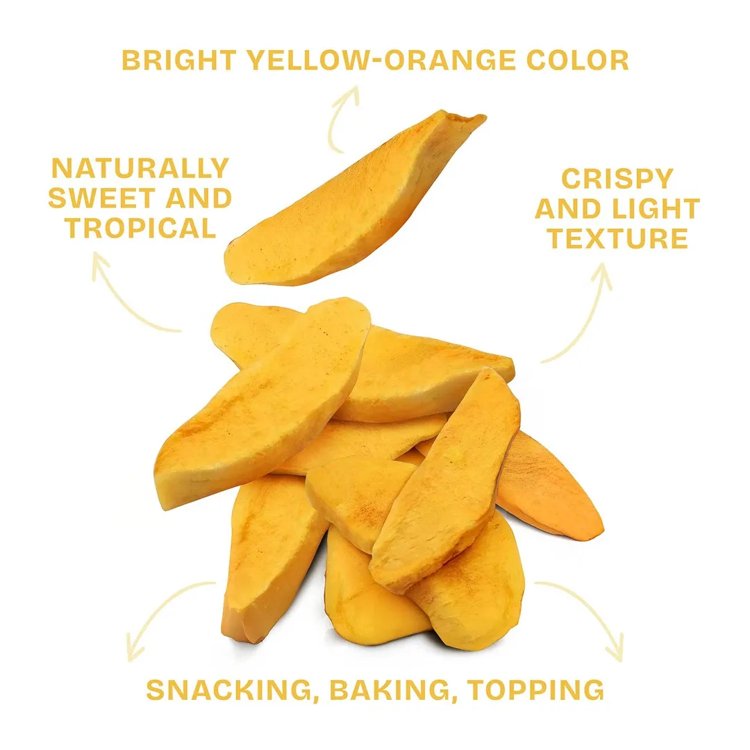 FREEZE DRIED MANGO SLICES - 0.56 OZ - 12 PACK