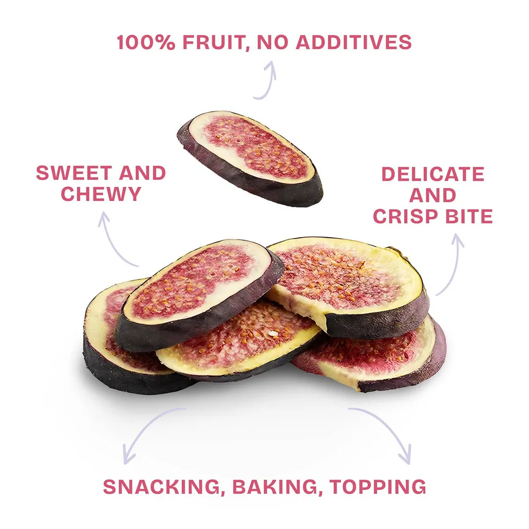 FREEZE DRIED TURKISH FIG SLICES - 1 OZ - 12 PACK