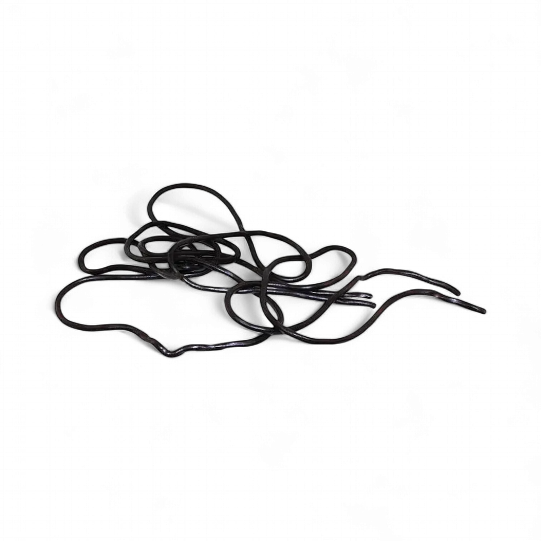 Licorice Laces (Holland) 
