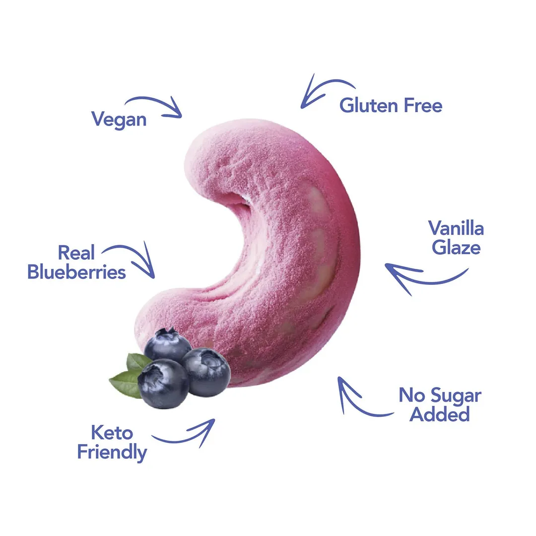 Earthside Farms Blueberry Vanilla Cashews No Sugar Added Candied Nuts, 1.5 oz