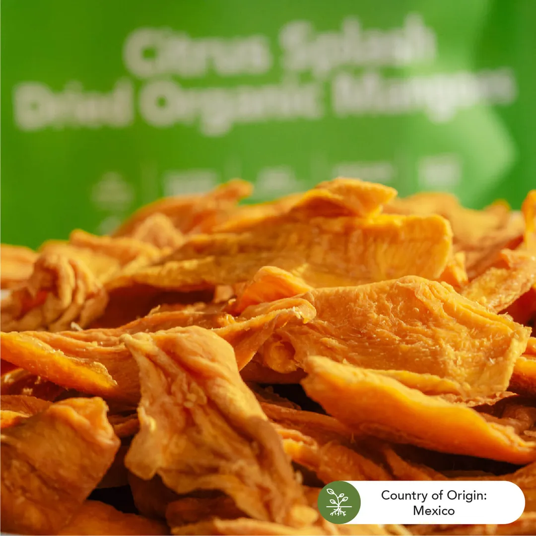 Earthside Farms Citrus Splash Dried Organic Mangoes, 1.23oz
