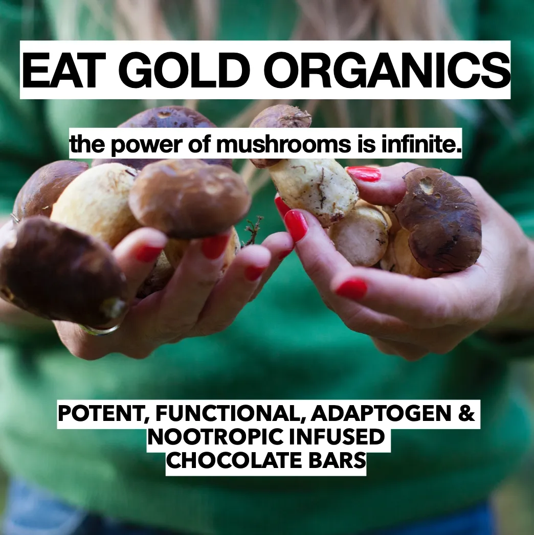 Immune Shroom – Functional Chocolate