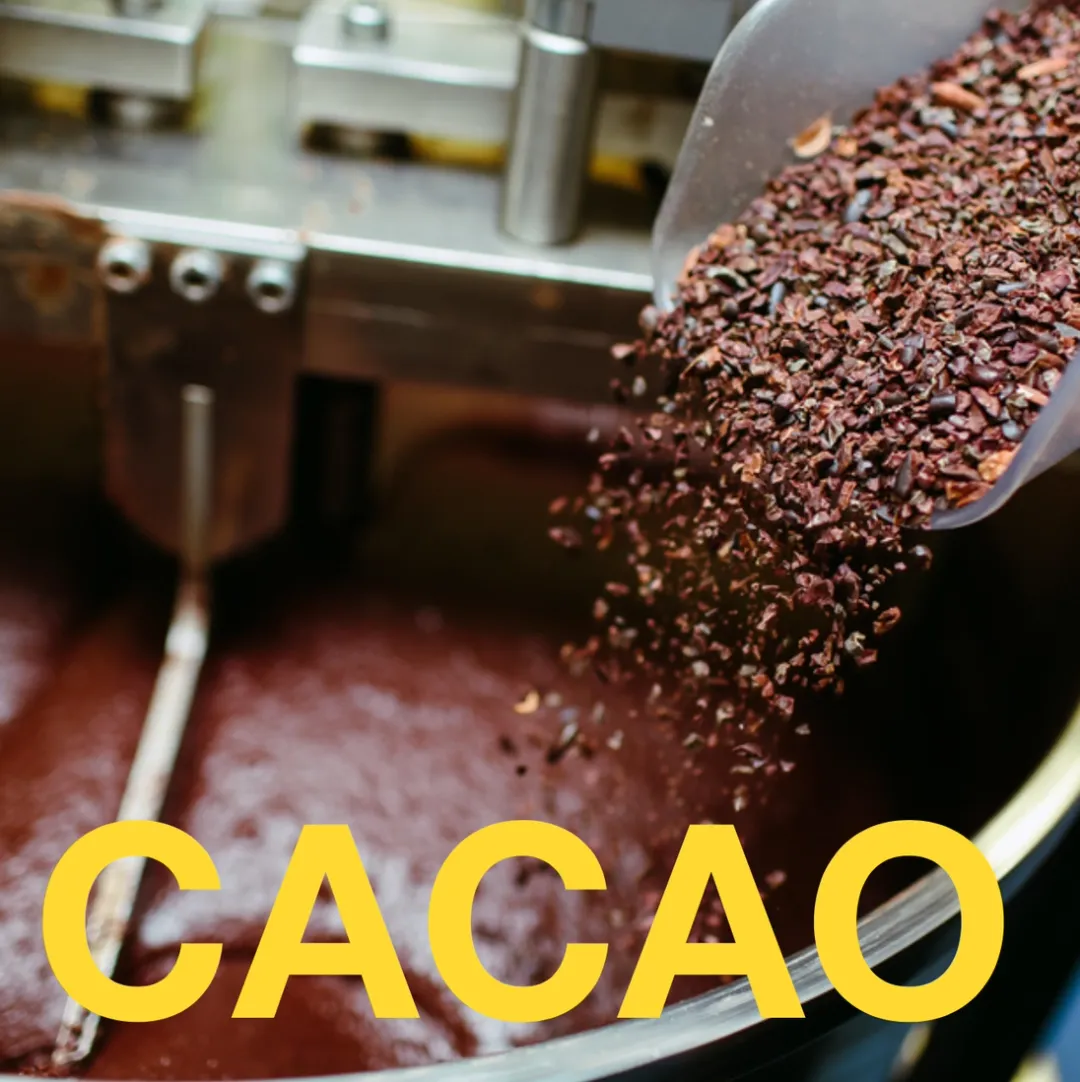Stay Sane – Functional Chocolate