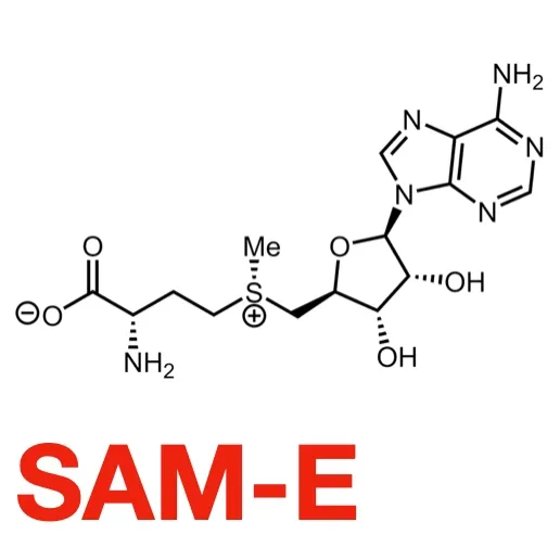 Stay Sane – Functional Chocolate