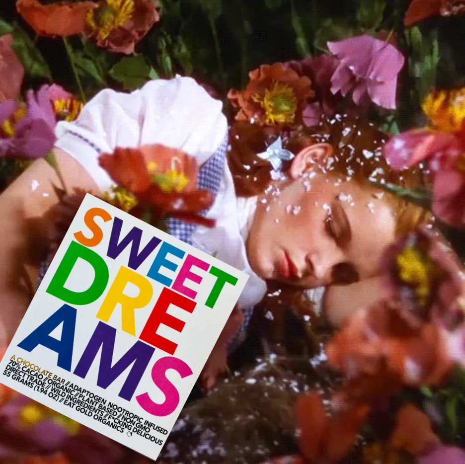 Sweet Dreams – Functional Chocolate
