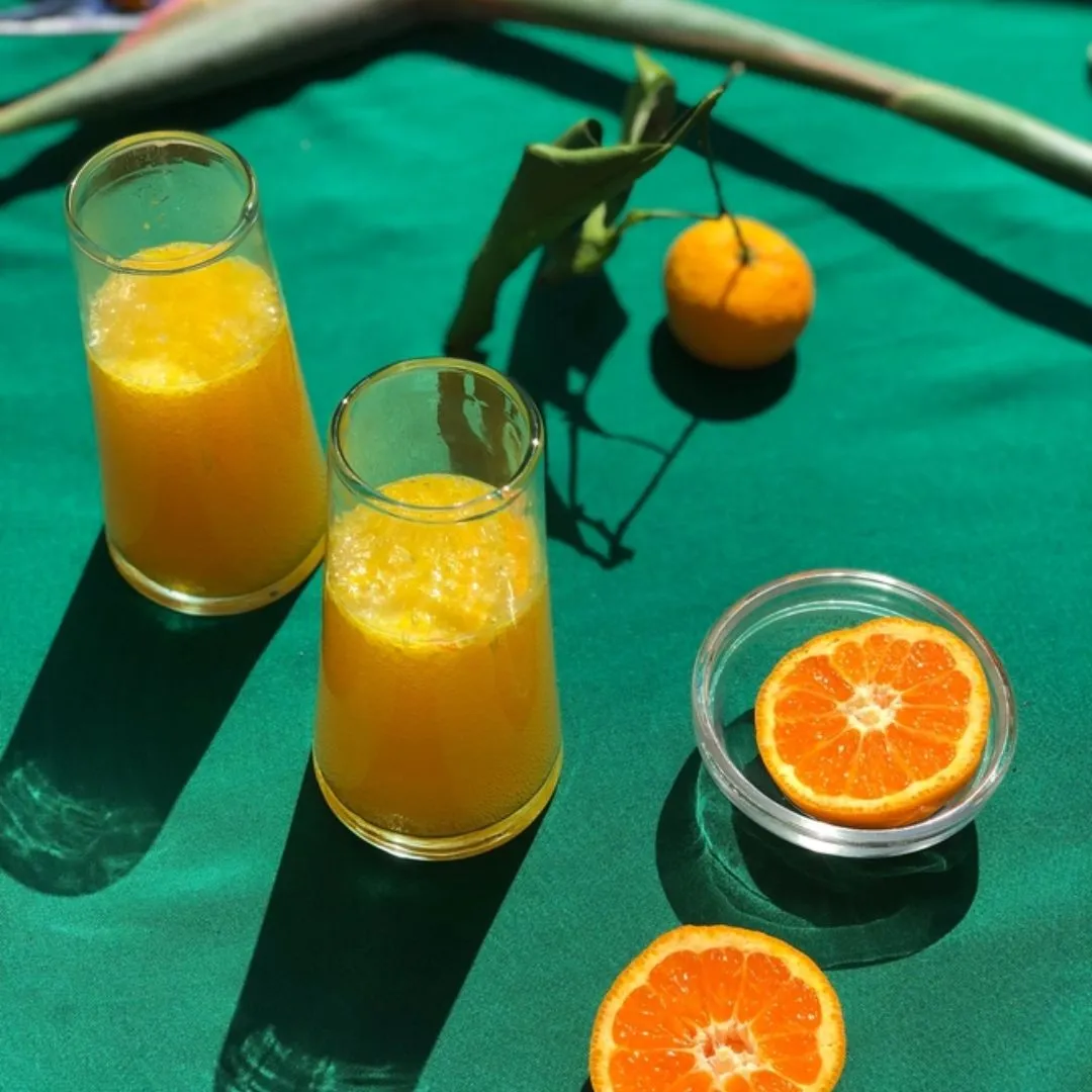 Citri Cookbook Zine