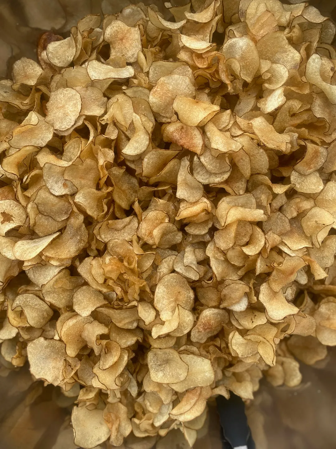 FAT Chips 4oz "Trifecta!"  (Beef tallow chips)