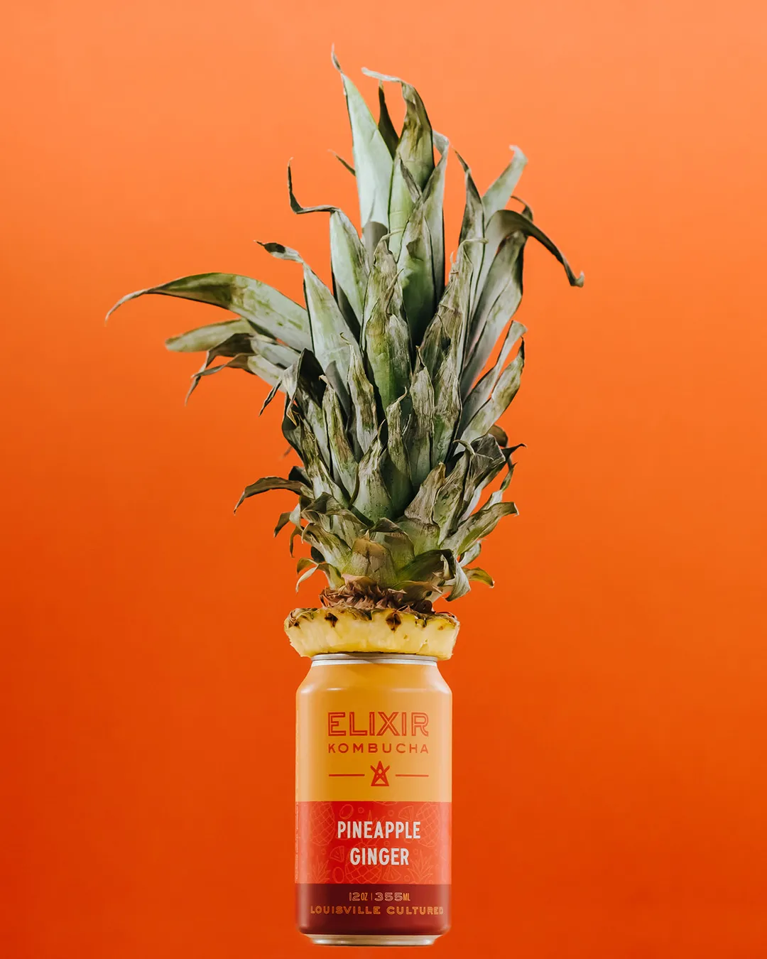 Pineapple Ginger Kombucha