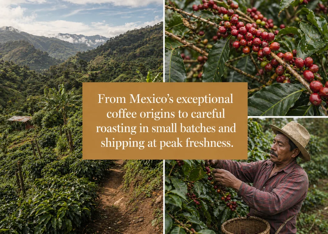 Mexico - Single Origin Specialty Grade