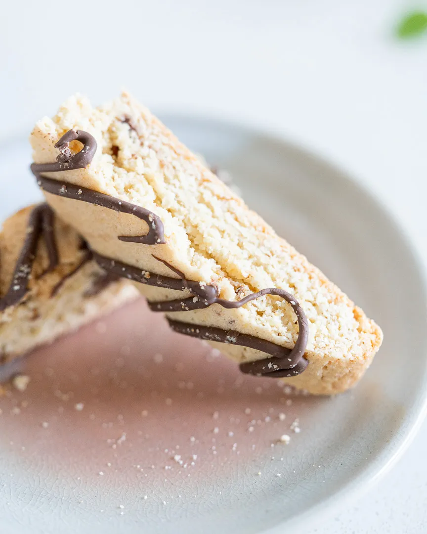 Espresso Chocolate Chip Biscotti