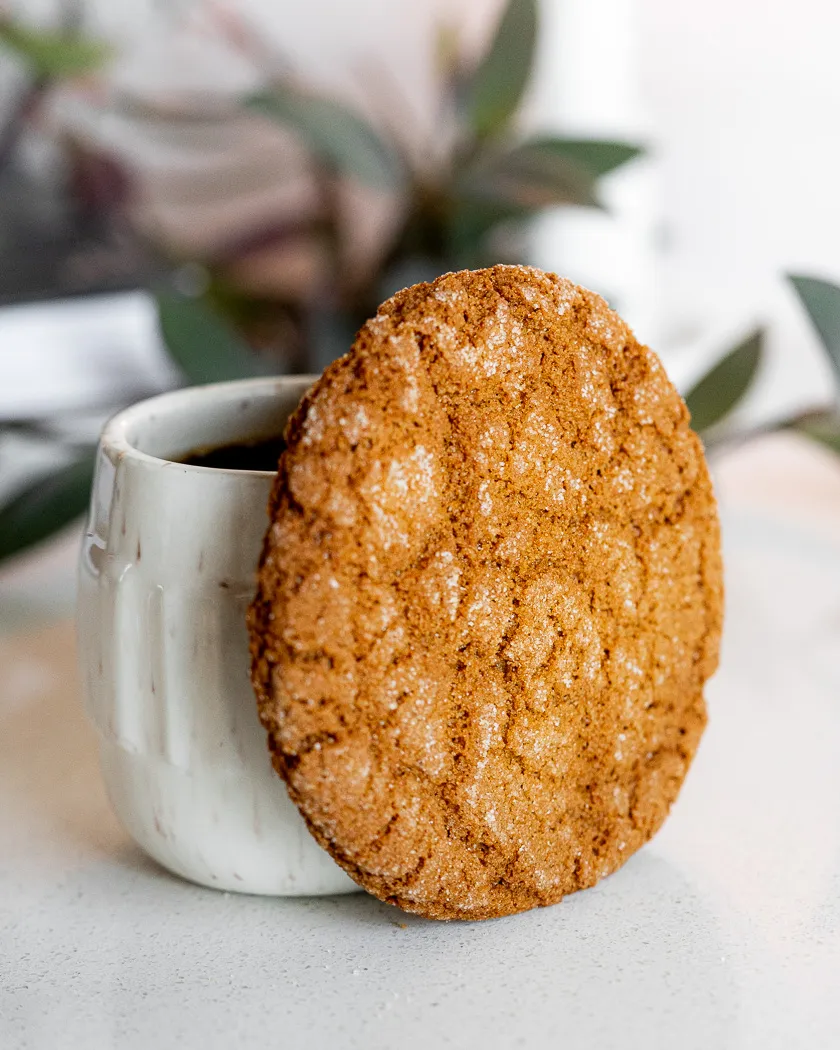 Oatmeal Chocolate Chipper Dippers - Pack of 2 Cookies