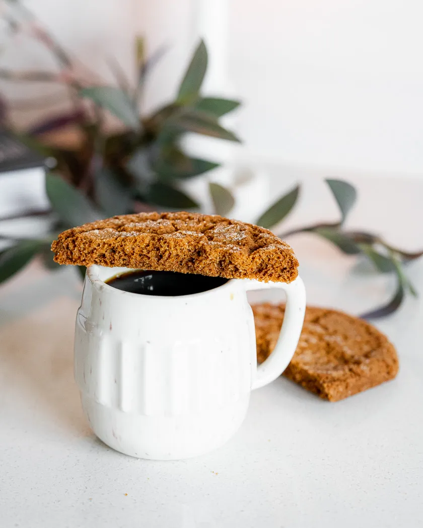Oatmeal Chocolate Chipper Dippers - Pack of 2 Cookies