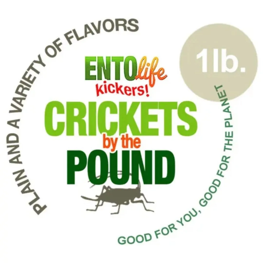 Bulk Crickets - Plain Roasted Crickets by the Pound