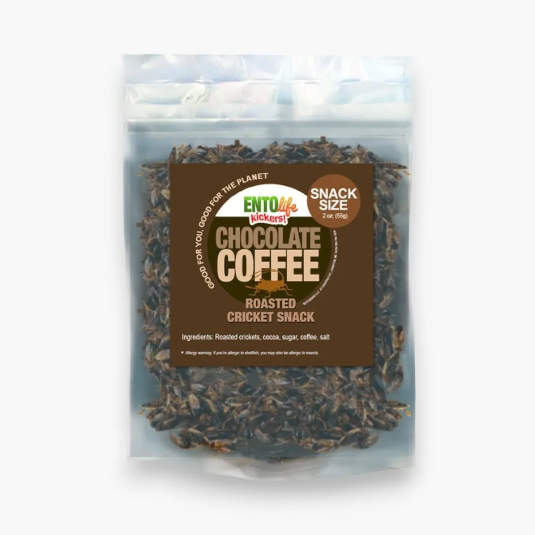 Chocolate Coffee Cricket Snacks(15 Gram Sample Size)