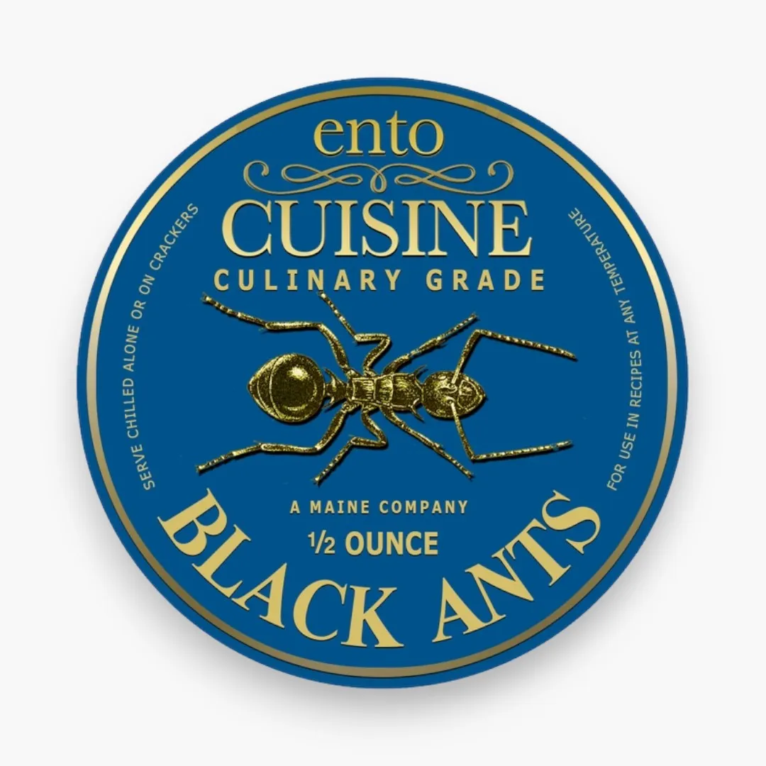 Culinary Quality Black Ants