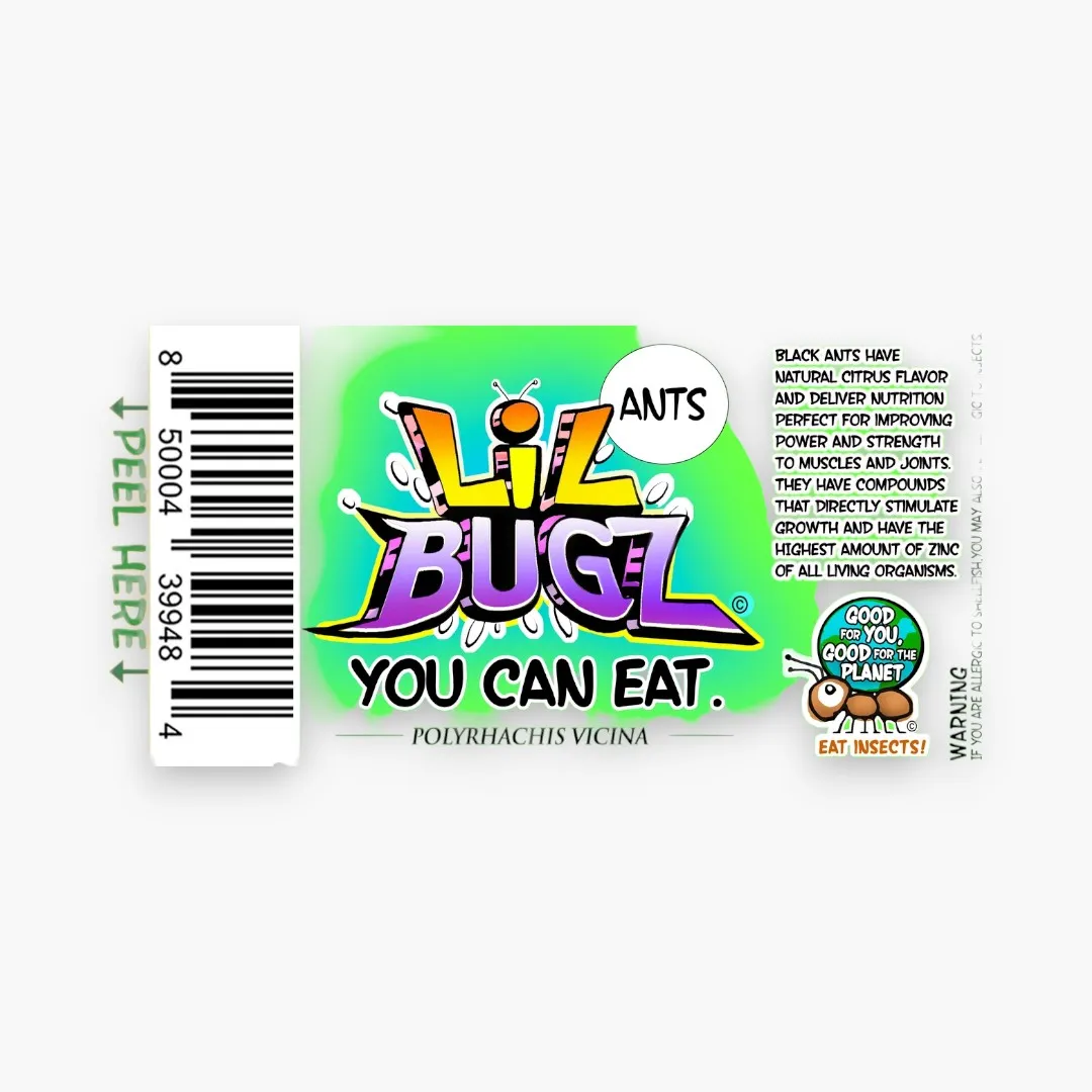 LIL BUGS YOU CAN EAT FULL DISPLAY