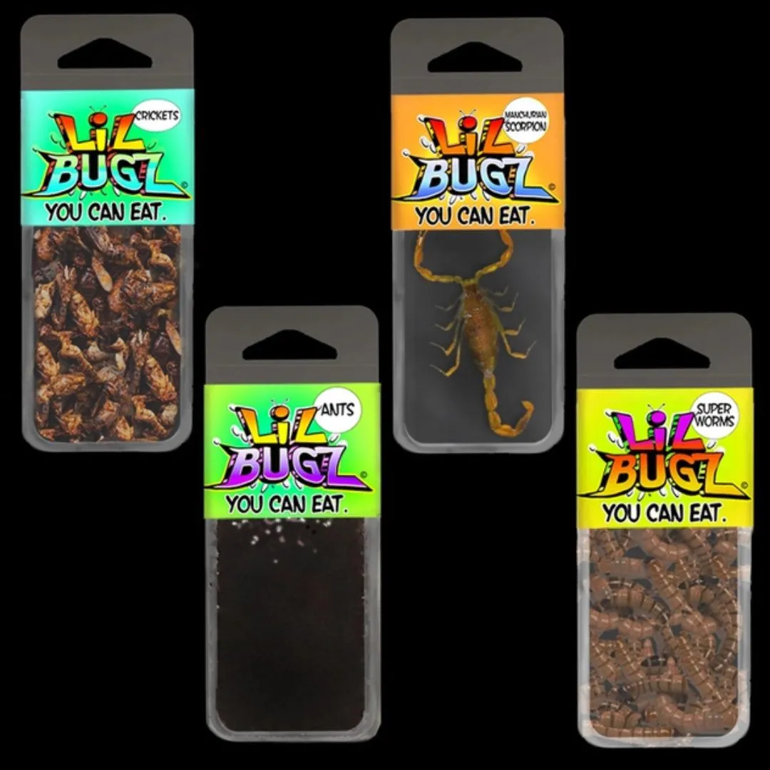Lil Bugz You Can Eat | Full Display w/ 15 packs ea of 4 Bugs