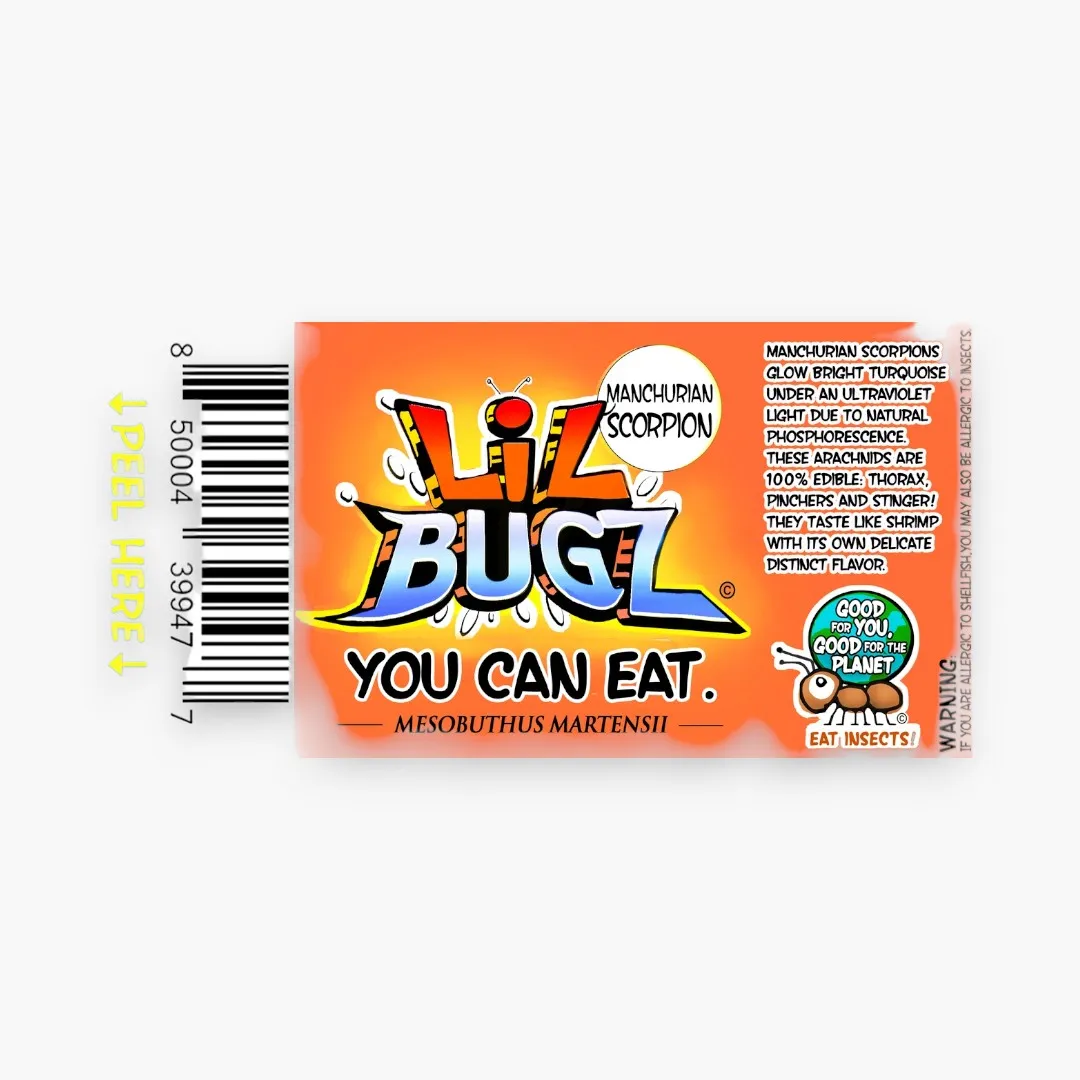 LIL BUGS YOU CAN EAT FULL DISPLAY