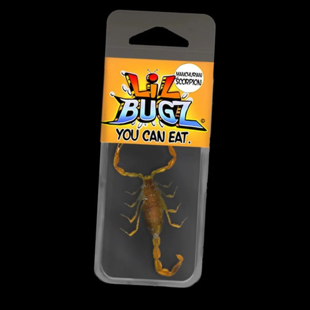 LIL BUGS YOU CAN EAT FULL DISPLAY