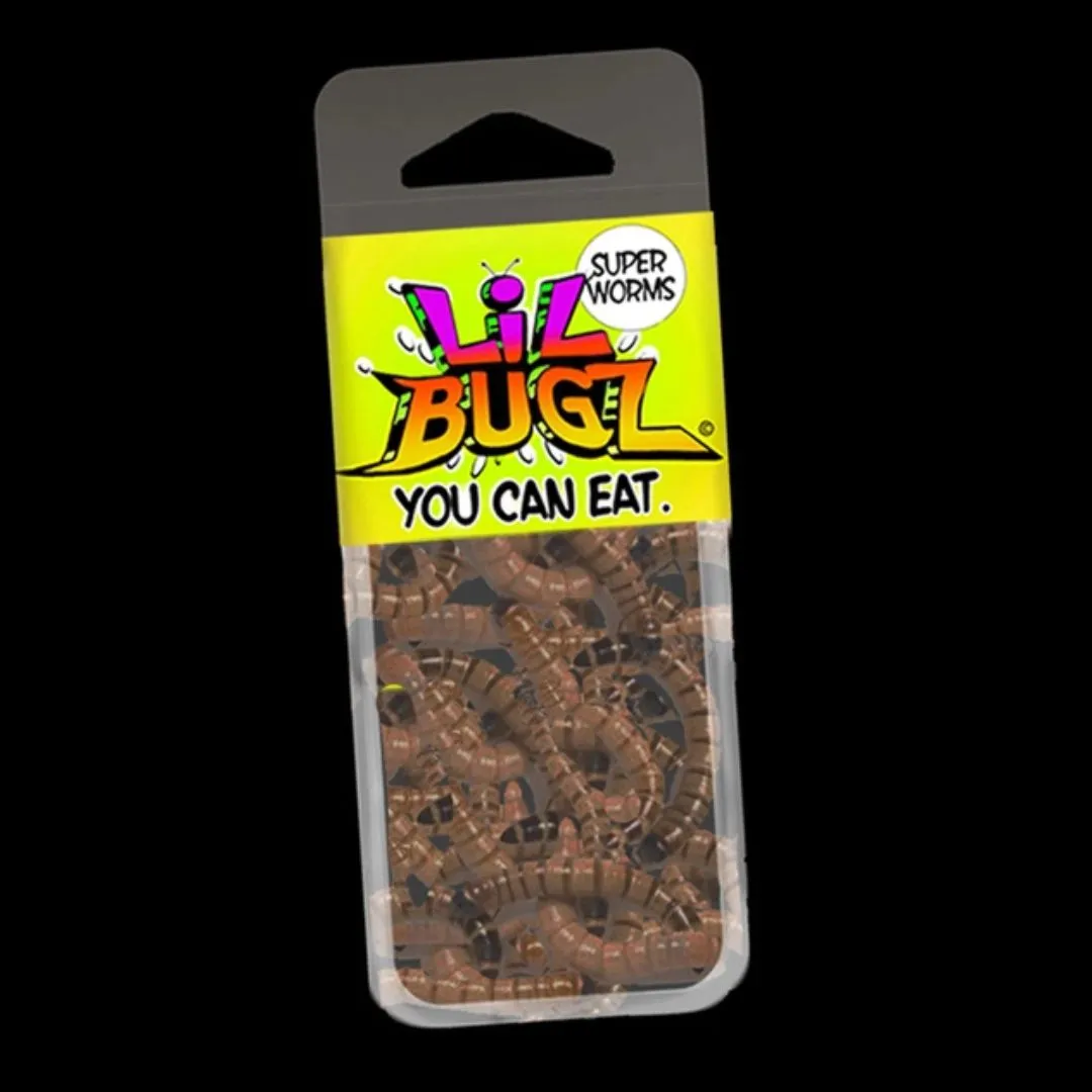 Lil Bugz Cricket & Superworm Display with 12 Packs of Each