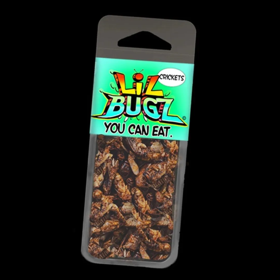 Lil Bugz Cricket & Superworm Display with 12 Packs of Each