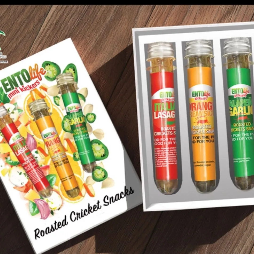 Mini-Kickers Flavored Cricket Snacks Gift Box