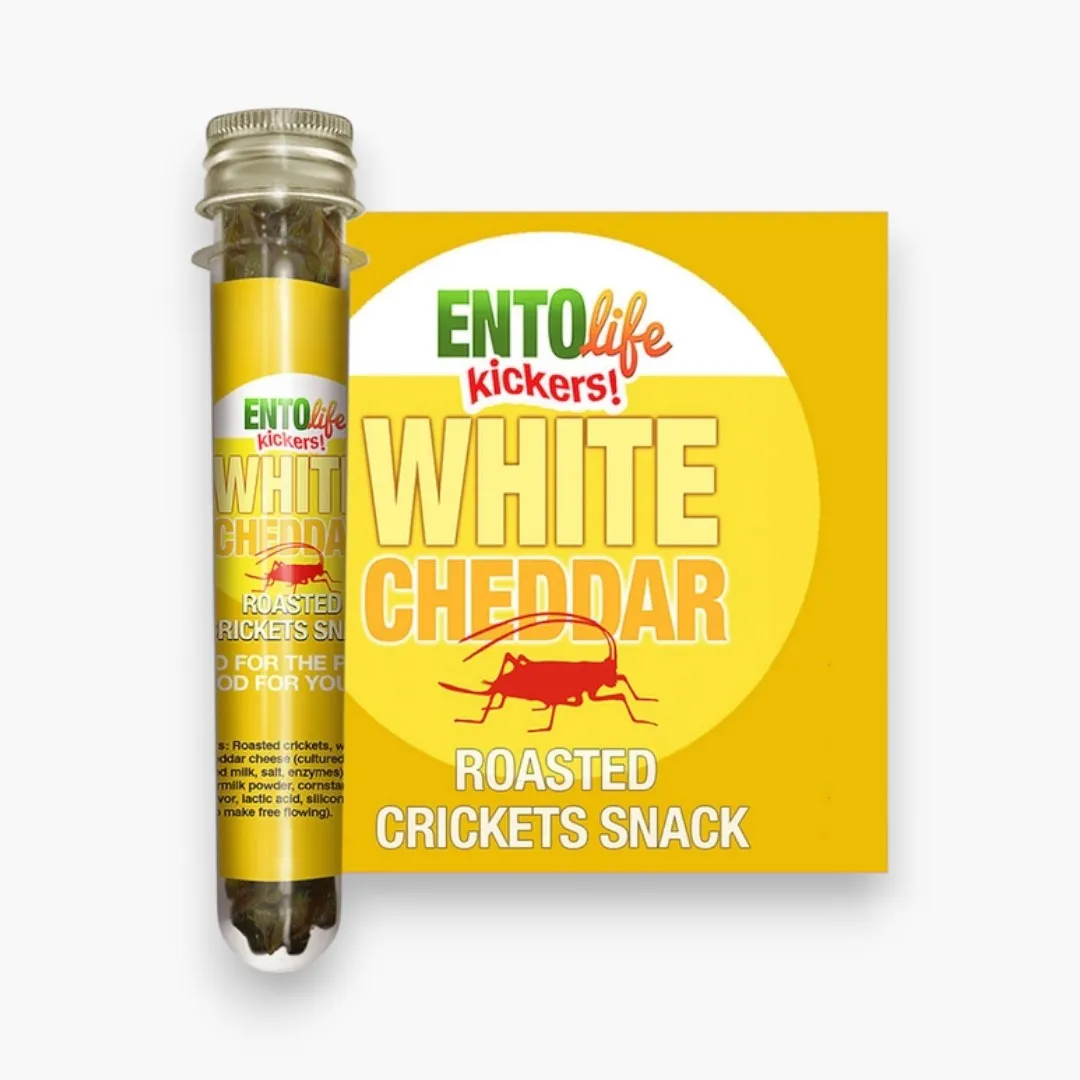 Mini-Kickers Set: Savory Flavored Roasted Cricket Snack
