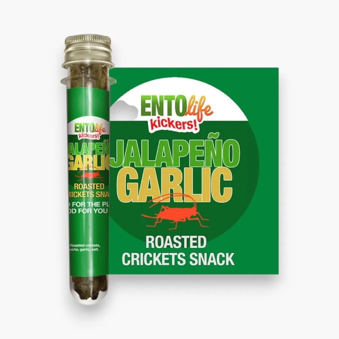 Mini-Kickers Set: Spicy Flavored Roasted Cricket Snack