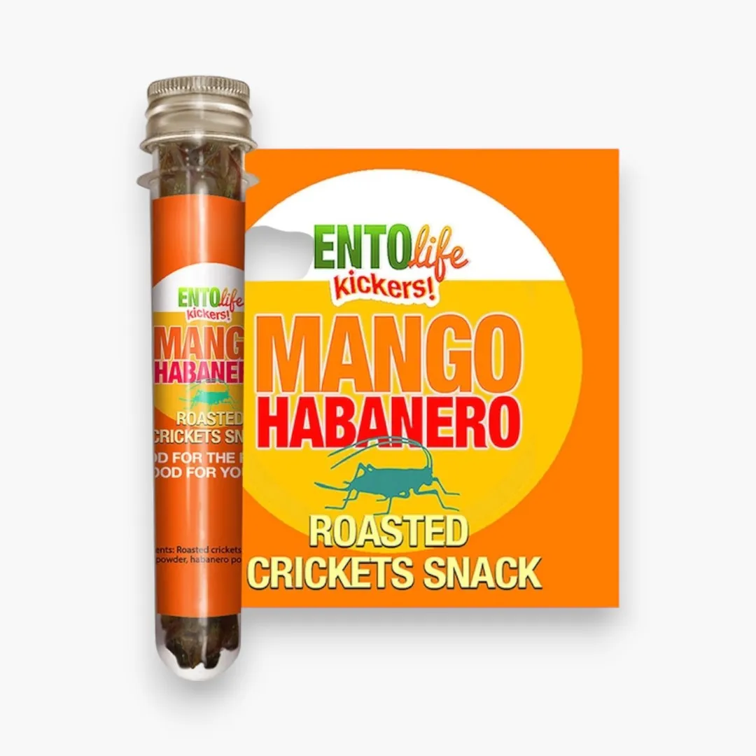 Mini-Kickers Set: Sweet Flavored Roasted Cricket Snack