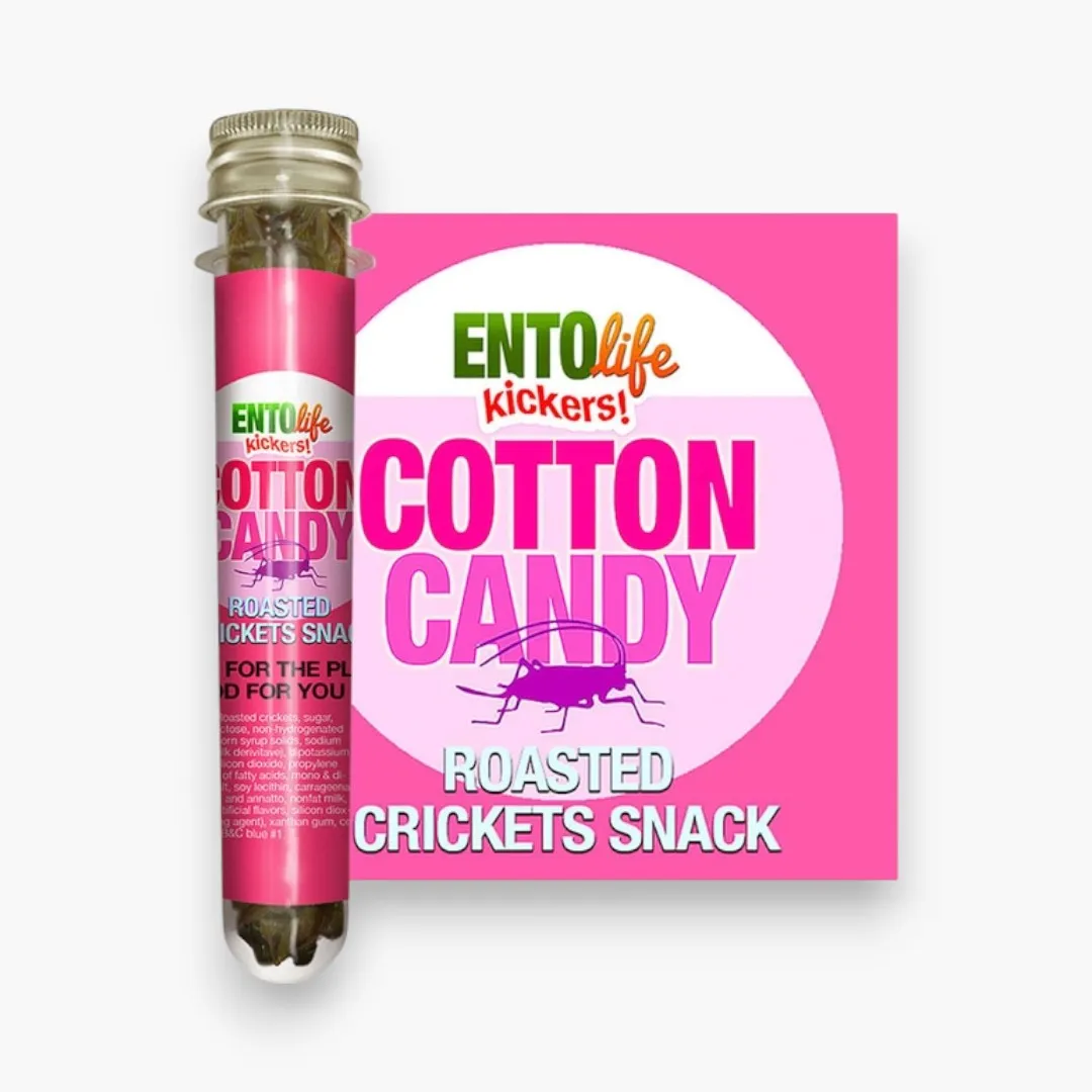 Mini-Kickers Set: Sweet Flavored Roasted Cricket Snack
