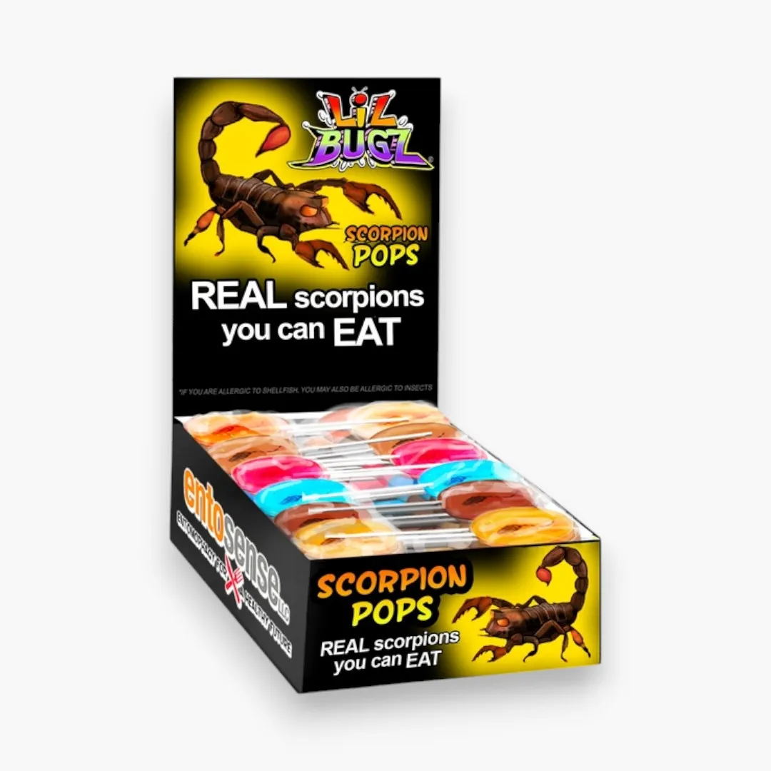 Scorpion Pops | Real Scorpions Encased in a Candy Sucker (Bacon Fudge)