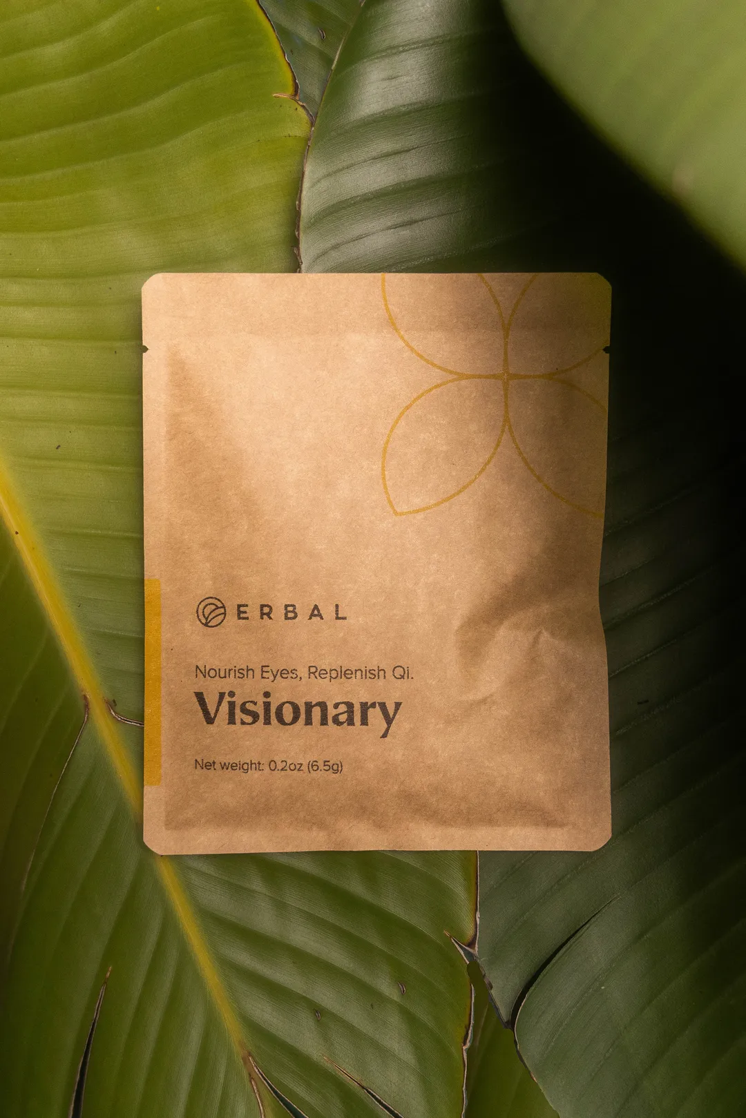 Visionary - Herbal Hydration - Herbal Tea Loose Leaf - Made in U.S.