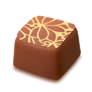 Hofbauer Vienna Pralines 123g