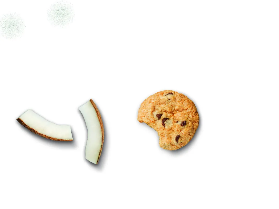 Coconut Chocolate Chip Cookies | Thin & Crispy | 5-oz Pouch
