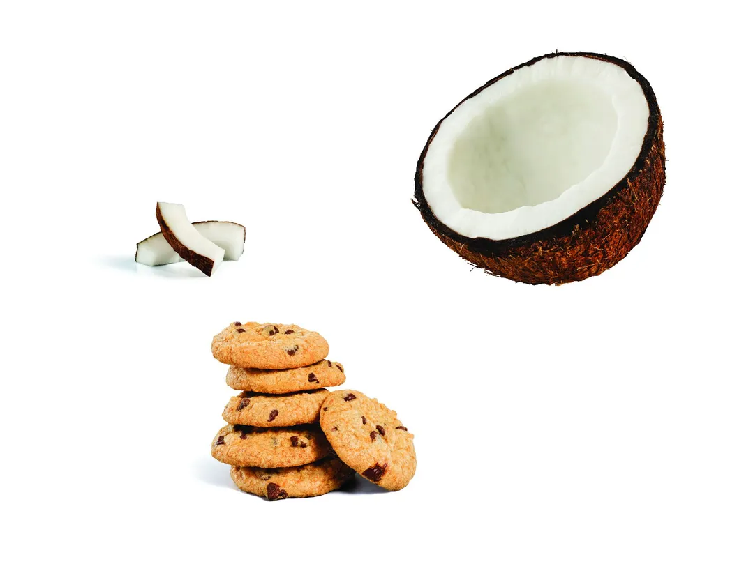 Coconut Chocolate Chip Cookies | Thin & Crispy | 5-oz Pouch