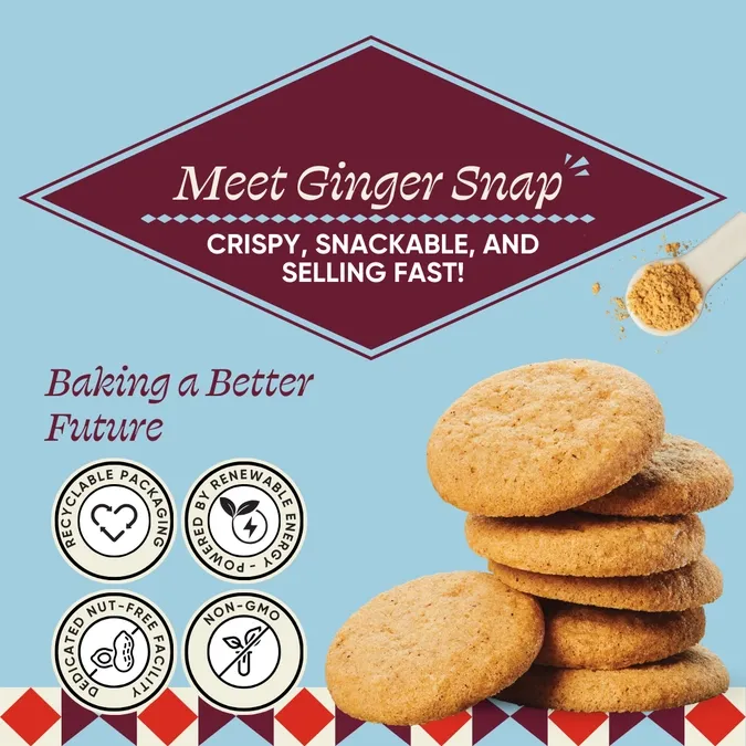 Gingersnap Cookies | Spiced Classic | 5-oz Pouch