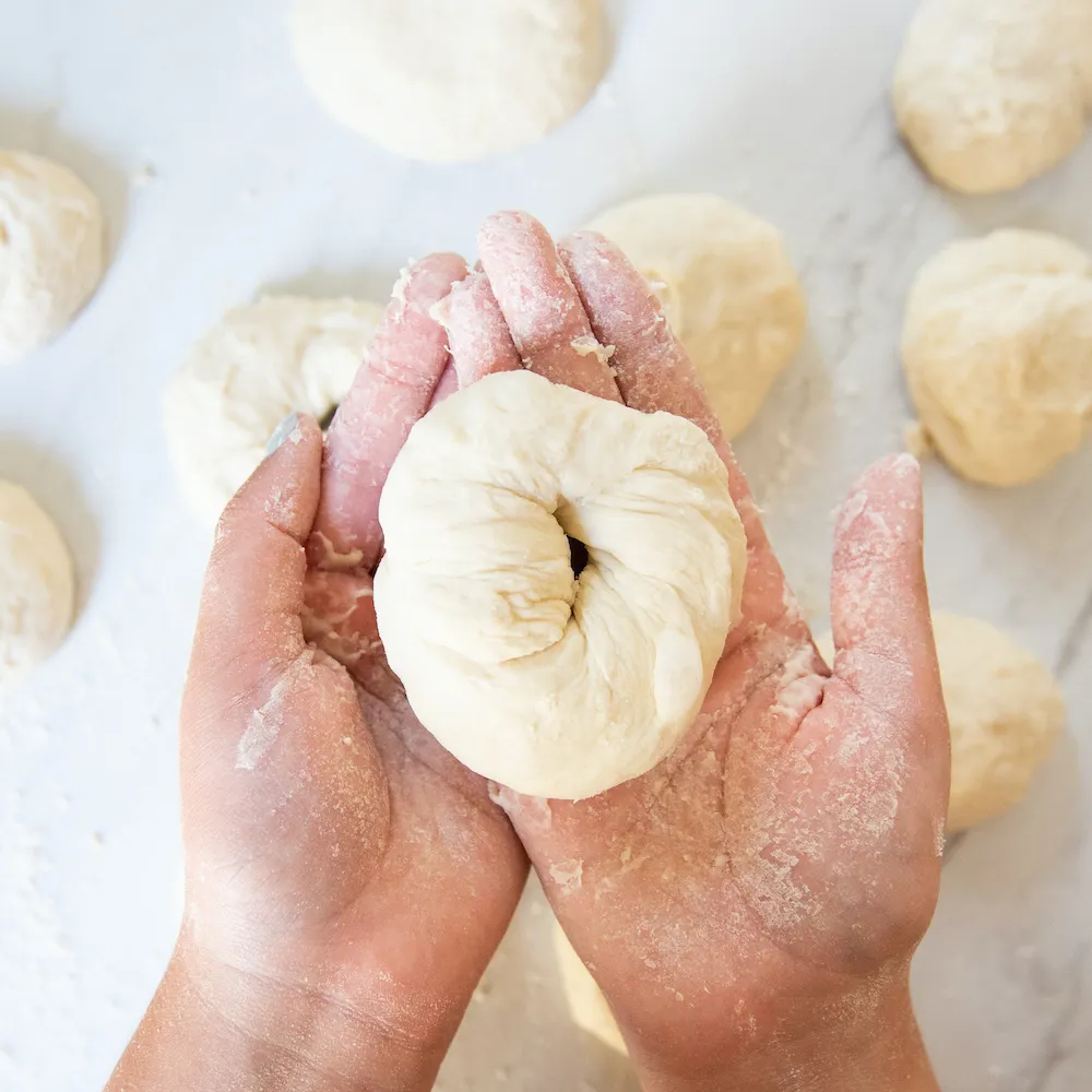 Everything Bagel Making Mix