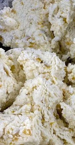 Caramelized Onion Delight Goat Cheese
