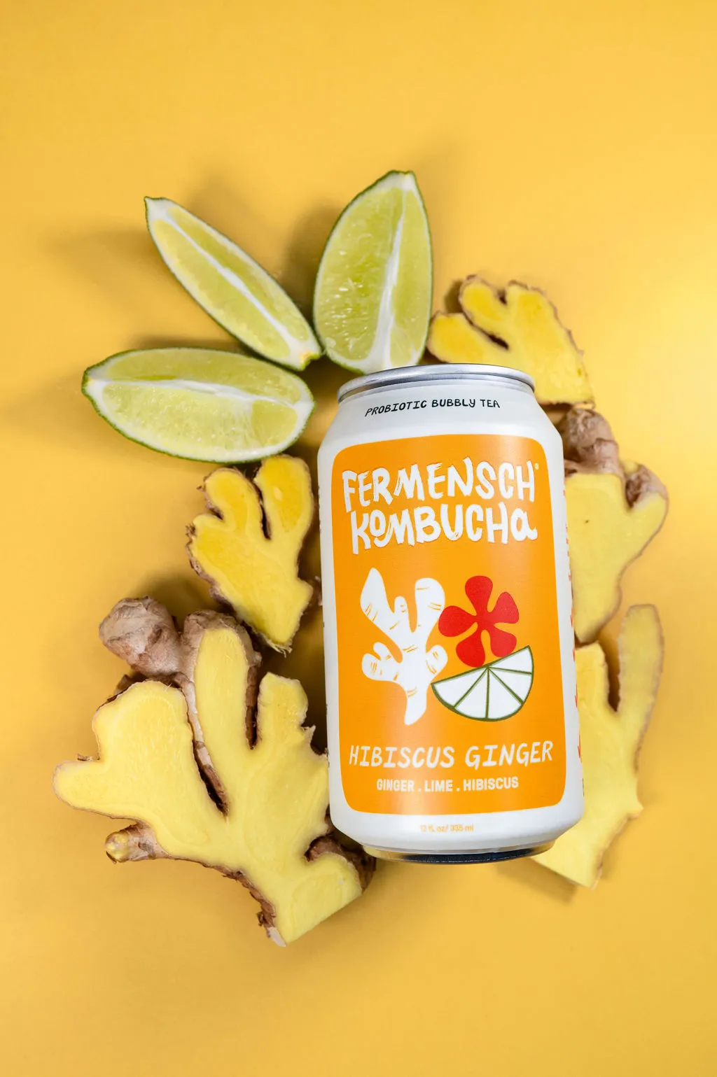 *Hibiscus Ginger* Kombucha - 24-Can Case