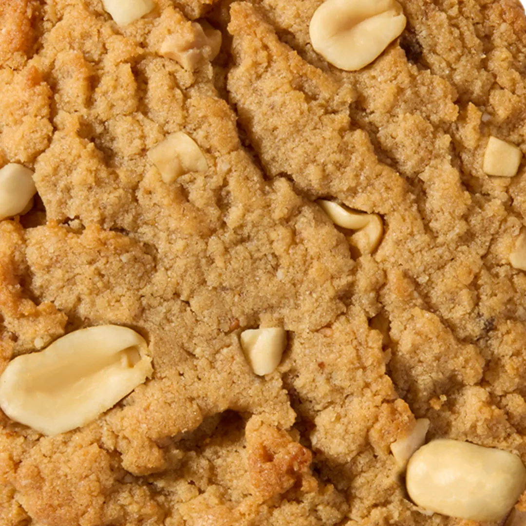 Peanut Butter Protein Cookie (Single)