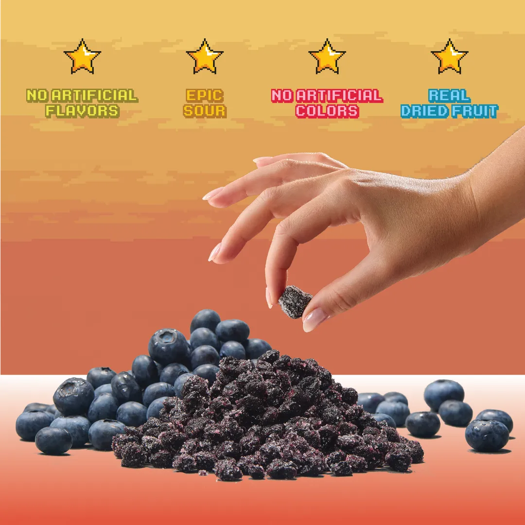 Level 2 Sour Blueberries (12 pack) Real Dried Fruit Candy